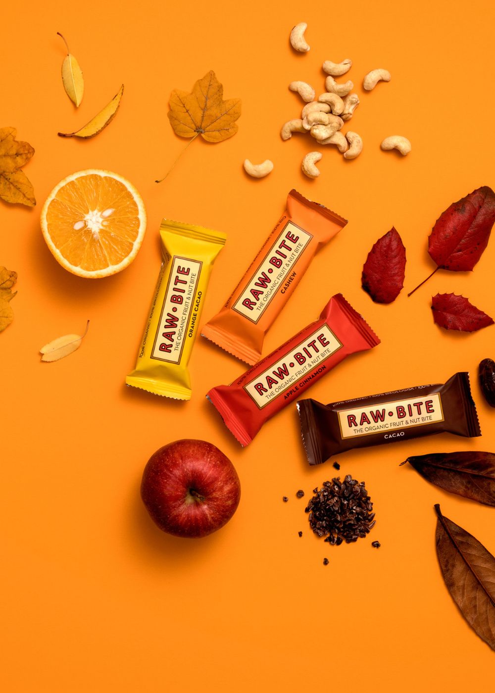 RAWBITE Fall picks
