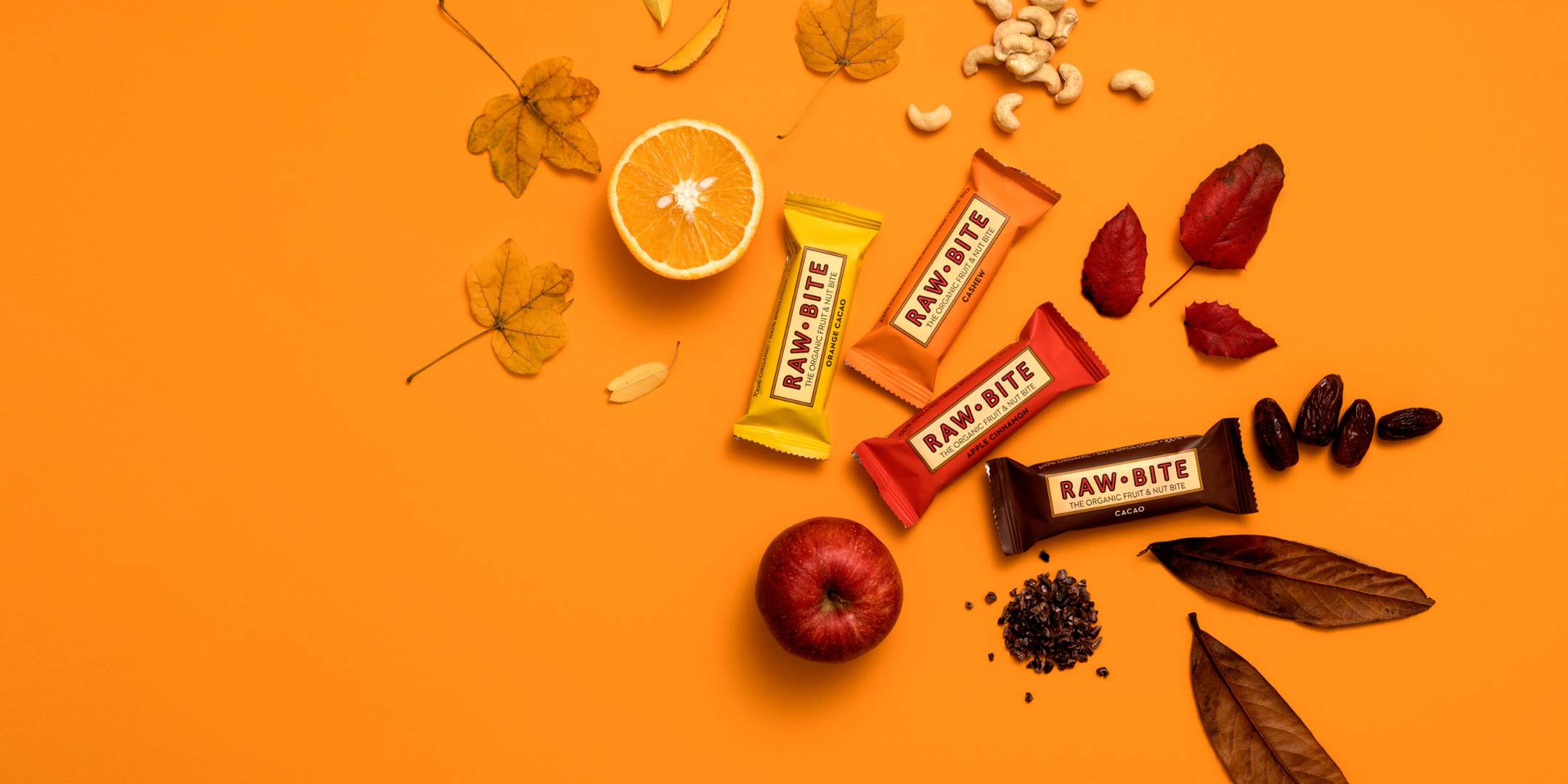 RAWBITE Fall picks